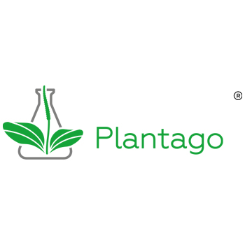Plantago